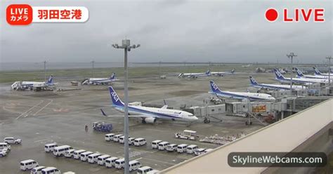 Haneda Airport Live Cam: Watch Tokyos Airport Action