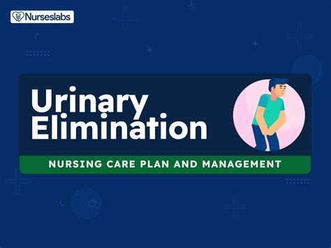 Impaired Urinary Elimination Nursing Diagnosis And Care Plans