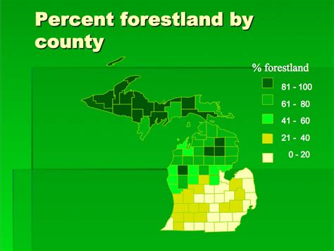 Is Michigan A Deciduous Forest State