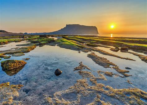 Jeju Island Airport: Gateway To South Koreas Tropical Paradise