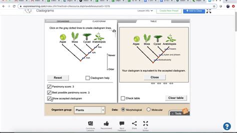 Master Cladograms With Gizmo Answer Key