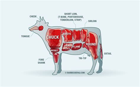 Mastering Lamb Primal Cuts For The Ultimate Gaming Experience