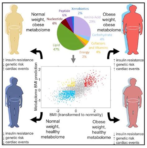 Measuring Obesity: A New Metric In The New York Times