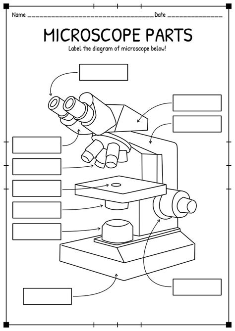 Microscope Parts Worksheet For Students