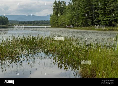 Moultonborough Nh Airport: Gateway To The Lakes Region