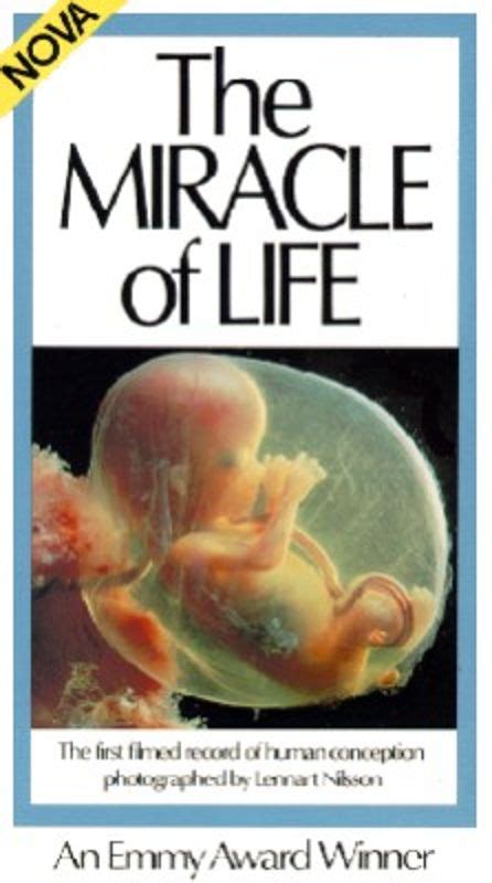 Nova: The Miracle Of Life Unfolds