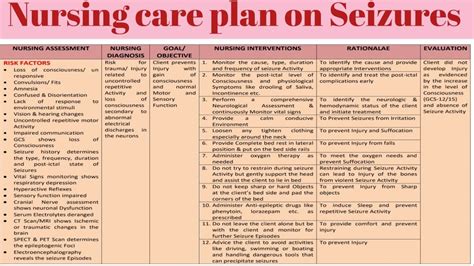 Nursing Care Plan For Seizure Management