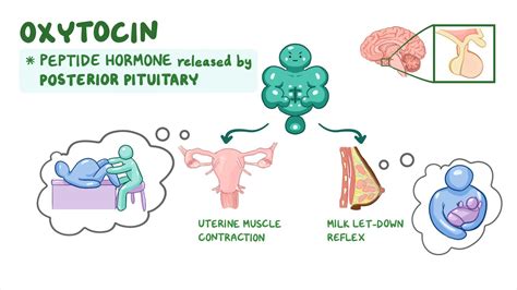 Oxytocin: Mainline Or Piggyback, Whats The Difference