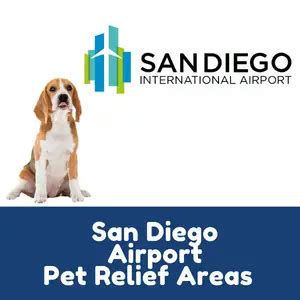 Pet Relief Areas At San Diego Airport: A Travelers Guide