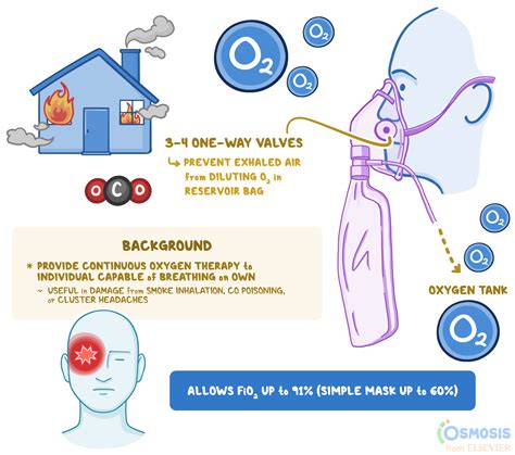 Rebreathing Vs Non Rebreathing: 5 Key Differences