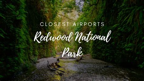 Redwood National Parks Closest Airport Revealed