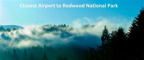 Redwoods Airport Guide