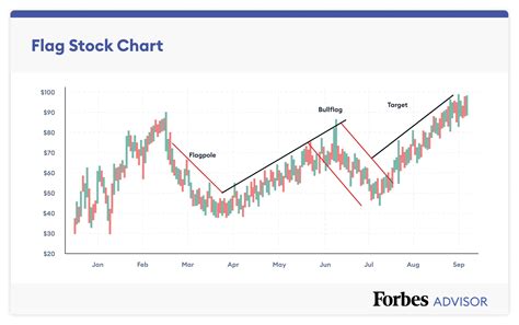 Roots Canada Stock Price Today And Market Analysis