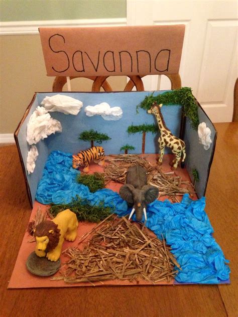 Savanna Biome Model Project Ideas For Students