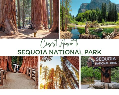 Sequoia National Park Airport Guide