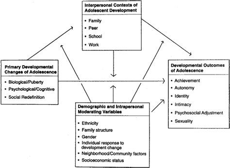 Stephanie Browns Developmental Model Explained