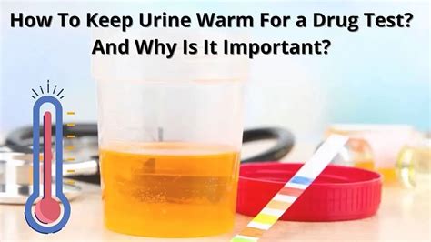 Tips To Keep Pee Warm For A Longer Period