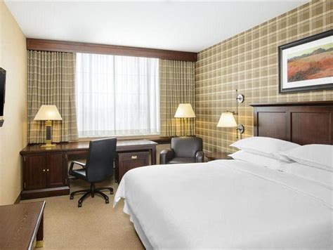 Top 5 Amenities At Gate Hotel Jfk Airport