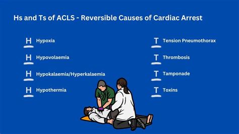 Understanding Hs And Ts Acls In Networking