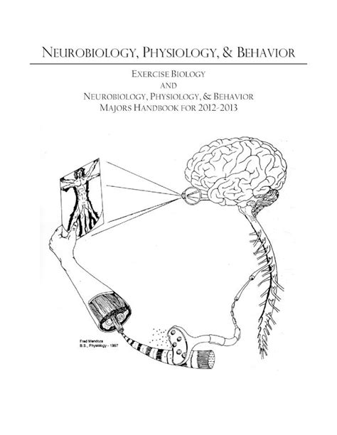 Understanding Neurobiology: The Link To Physiology And Behavior