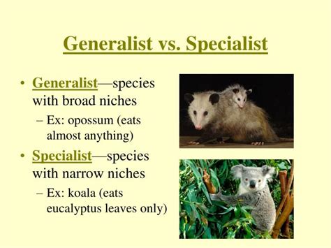 What Makes A Generalist Animal